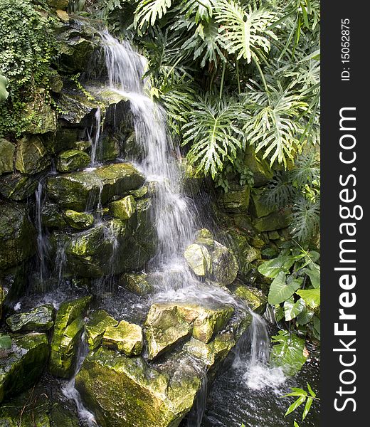 Small waterfall in green foliage