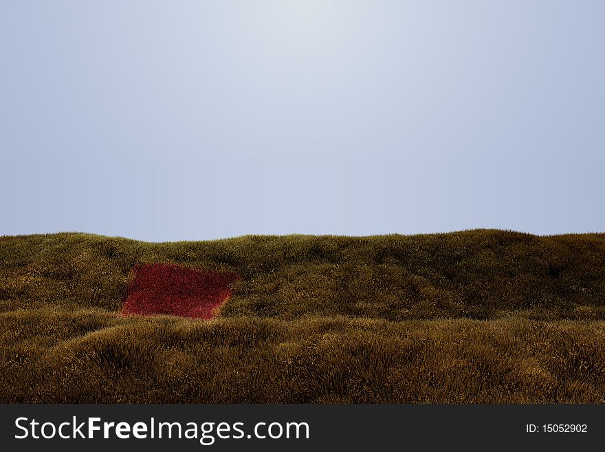 Grassy gold field of tall grass with a red patch of grass conveying a message of opportunity.