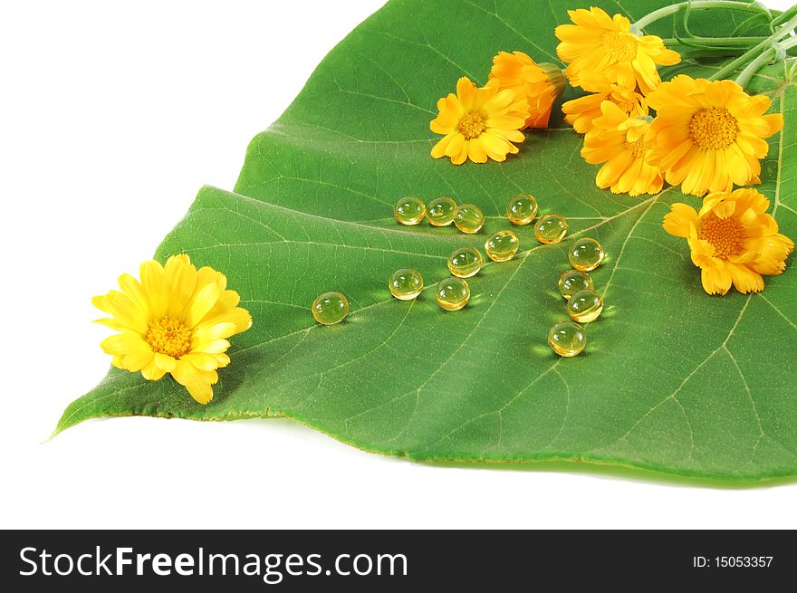 Pills with marigold flowers on a green leaf isolated on white background