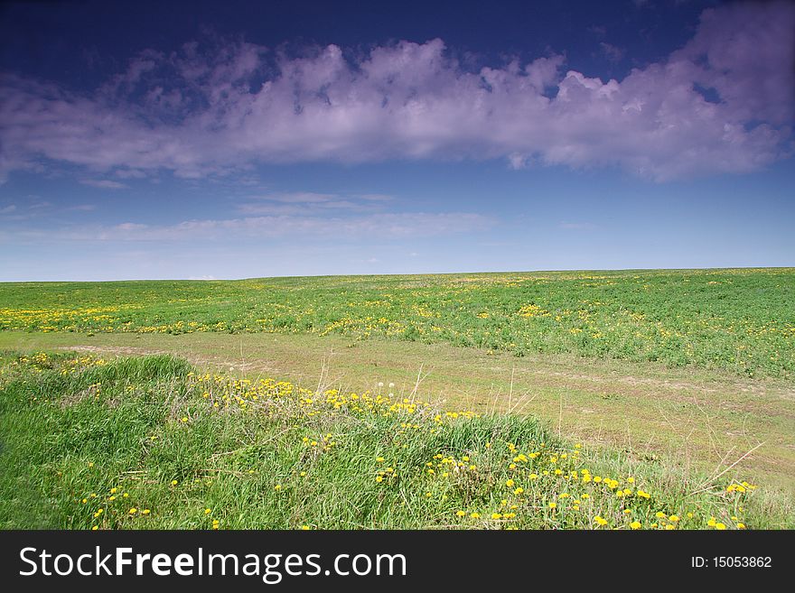 Spring field and blue sky from clouds
