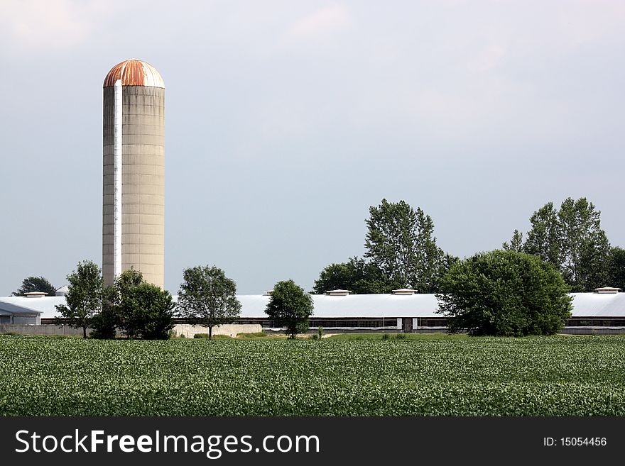 New Age Farm with silo. New Age Farm with silo