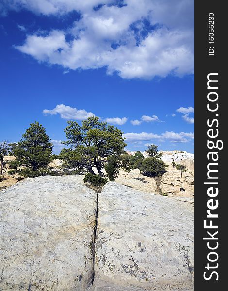 Cheecks Rock In El Morro National Monument