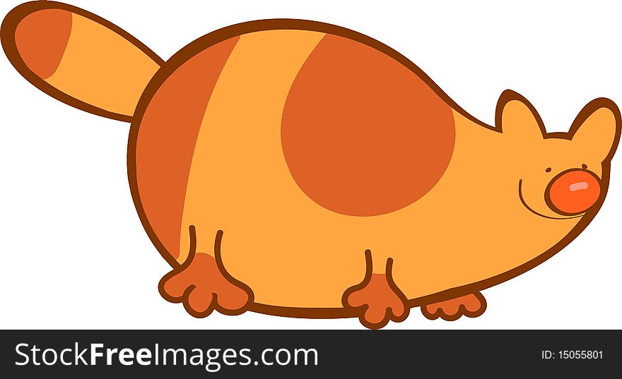 Big fat ginger cat happy