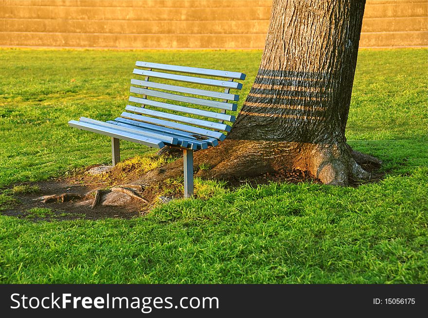 Inviting Bench Under An Old Tree