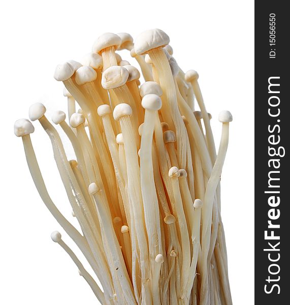 Heap of raw White Mushrooms isolated over white. Heap of raw White Mushrooms isolated over white.