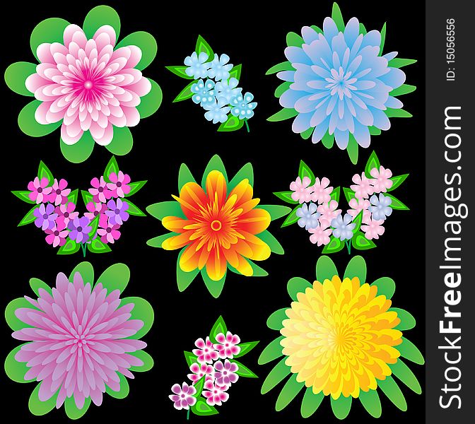 Bright flowers on a black background. Vector illustration.