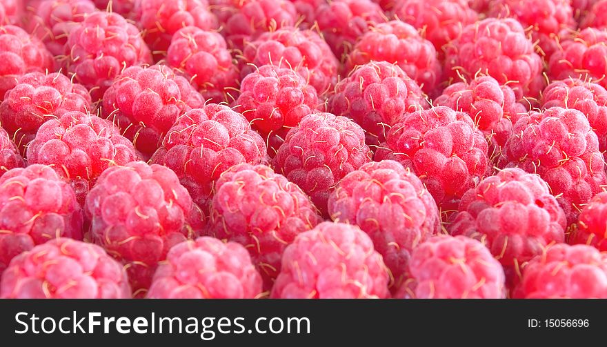 Berries, raspberries arranged in rows, close-up, close-up. Berries, raspberries arranged in rows, close-up, close-up.
