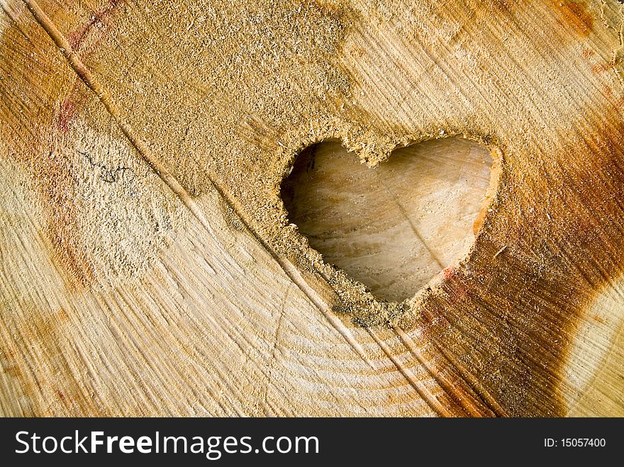 Cut log wood background texture.