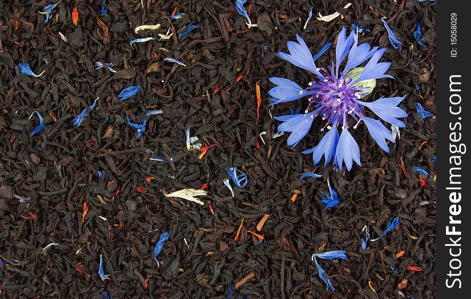 Cornflower On The Dry Tea Leaves Background