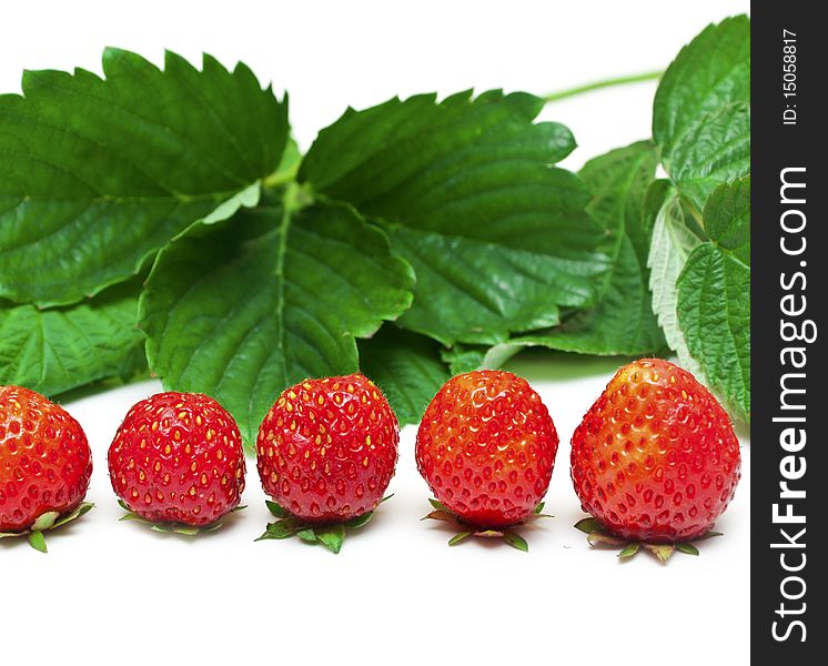 Fruits of strawberry isolated on white background