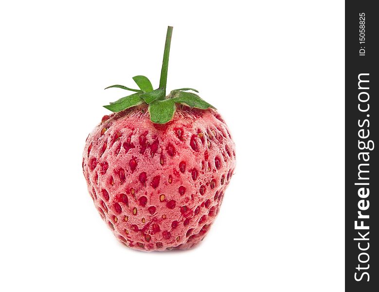 Red appetizing frozen wild strawberry on white background. Red appetizing frozen wild strawberry on white background