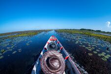 Cruising In The Lake, Heading Straight Forward, Cruising In The Pond With Boiling Water, Afternoon Sun, The Sky Is Dark Blue Stock Image Cruising In The Lake, Heading Straight Forward, Cruising In The Pond With Boiling Water, Afternoon Sun, The Sky Is Dark Blue Stock Image