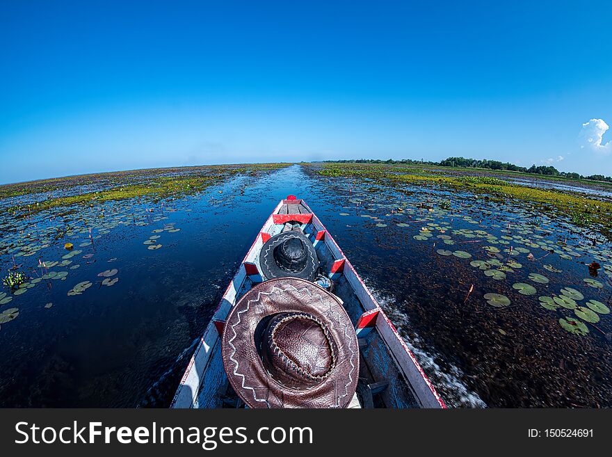 Cruising in the lake, heading straight forward, cruising in the pond with boiling water, afternoon sun, the sky is dark blue.