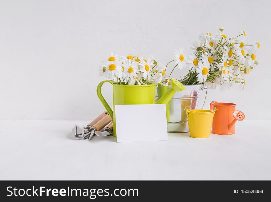 Home interior and garden concept with summer flowers in a metal bucket