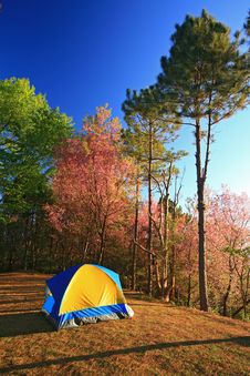 Tent, Outdoor Life Thailand Royalty Free Stock Images