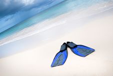 Coconut With Black Sunglasses And Blue Flippers Royalty Free Stock Image Coconut With Black Sunglasses And Blue Flippers Royalty Free Stock Image