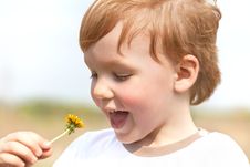 Happy Boy Enjoy With Yellow Dandelion Royalty Free Stock Photo Happy Boy Enjoy With Yellow Dandelion Royalty Free Stock Photo
