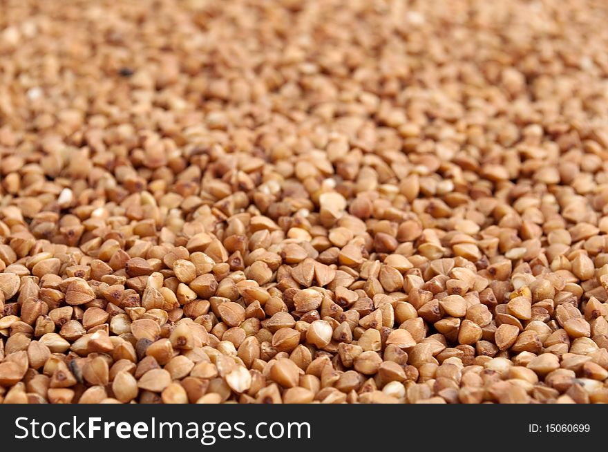 Croup of buckwheat. Background,texture. Croup of buckwheat. Background,texture