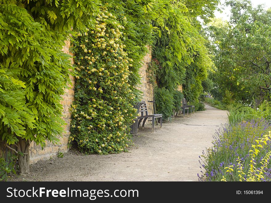 Picture of pretty green alley with the benches on it