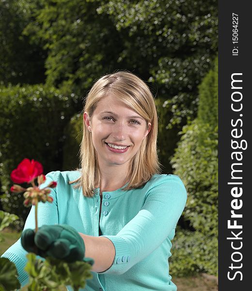 Beautiful, healthy looking young woman gardener tends to her rose. She is smiling straight at the camera. Beautiful, healthy looking young woman gardener tends to her rose. She is smiling straight at the camera