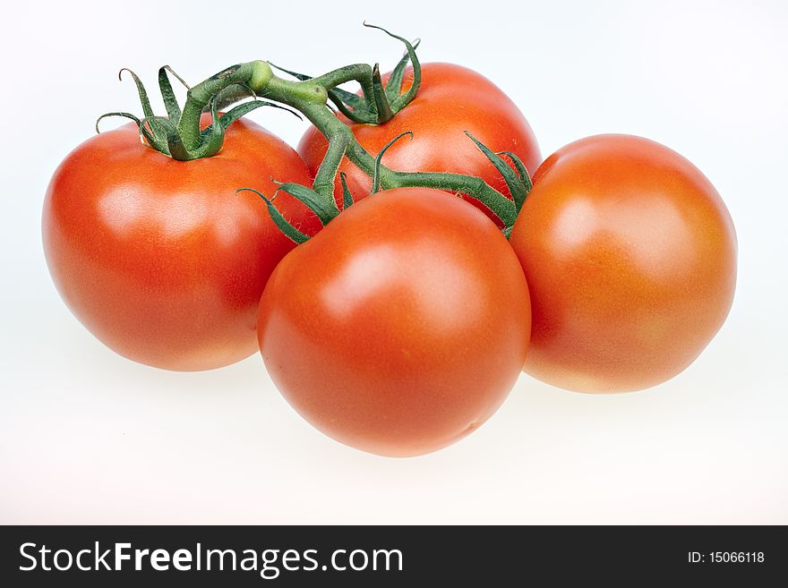 Juicy tomatoes isolated