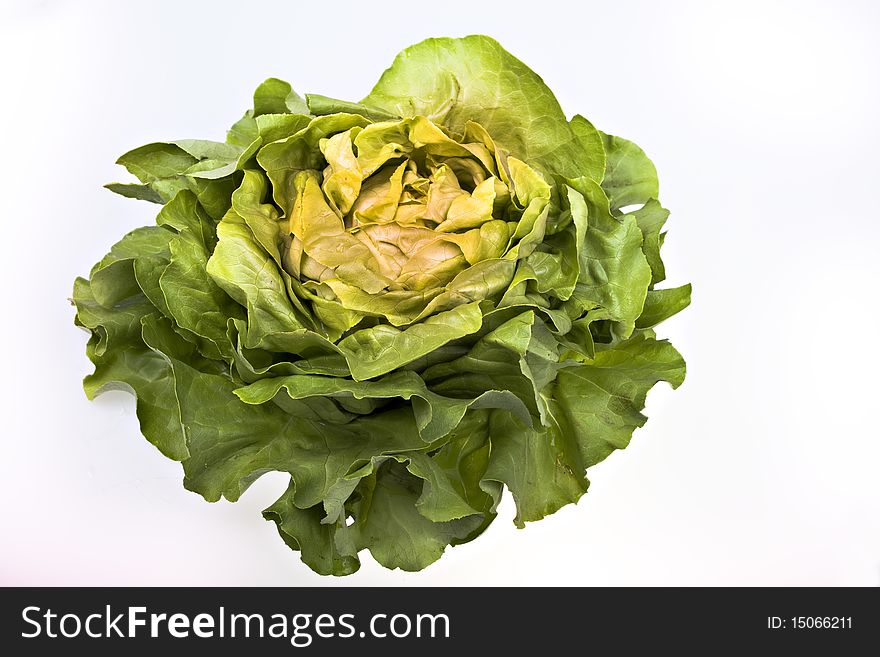 Ham slices isolated over leafs of lettuce. Ham slices isolated over leafs of lettuce