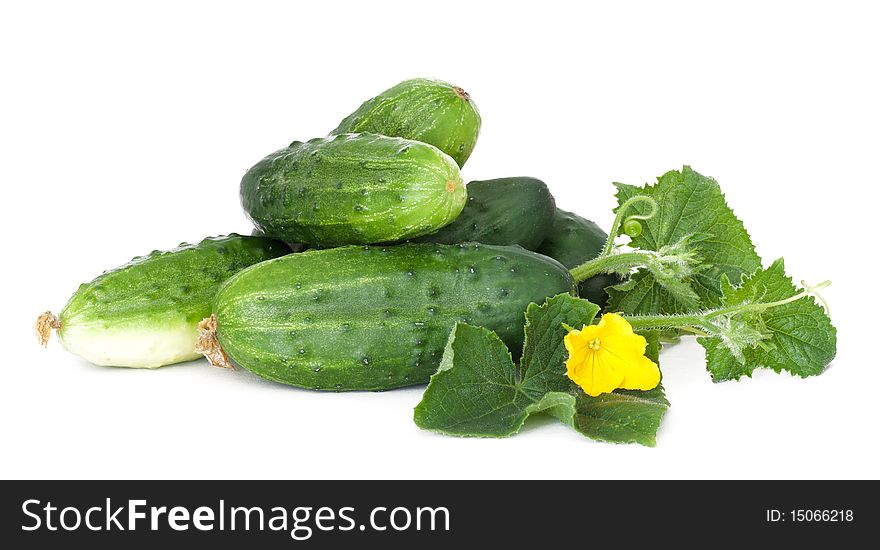 Cucumbers on white with flower