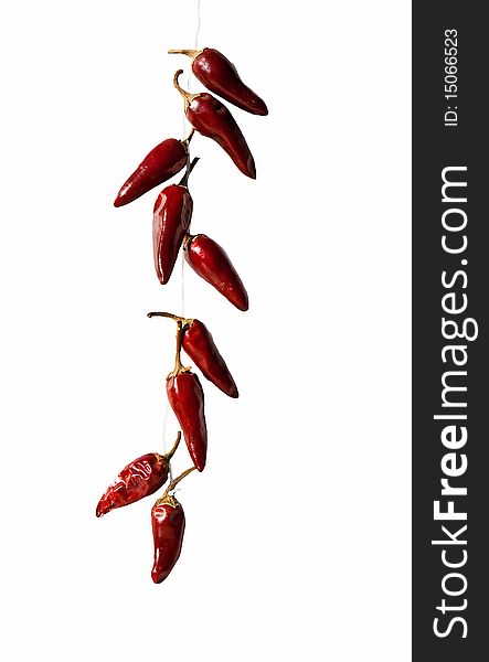 Hot pepper bunch on white background