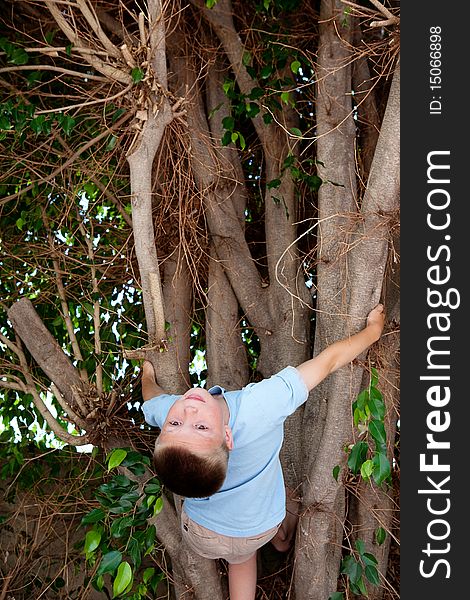 Boy climbing a tree outside in a blue shirt. Boy climbing a tree outside in a blue shirt