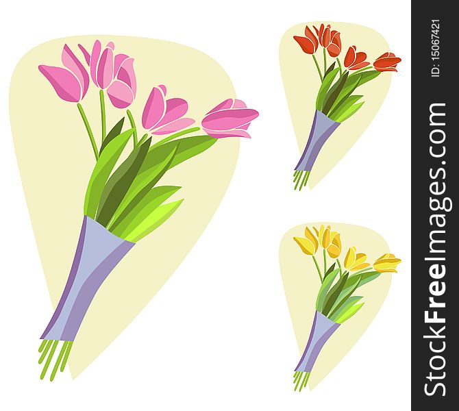 Three different tulip flowers vector