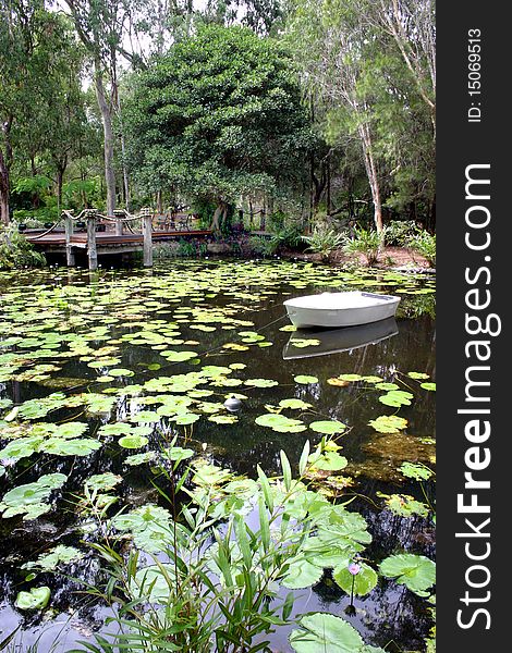 Peaceful garden lake with lily pond