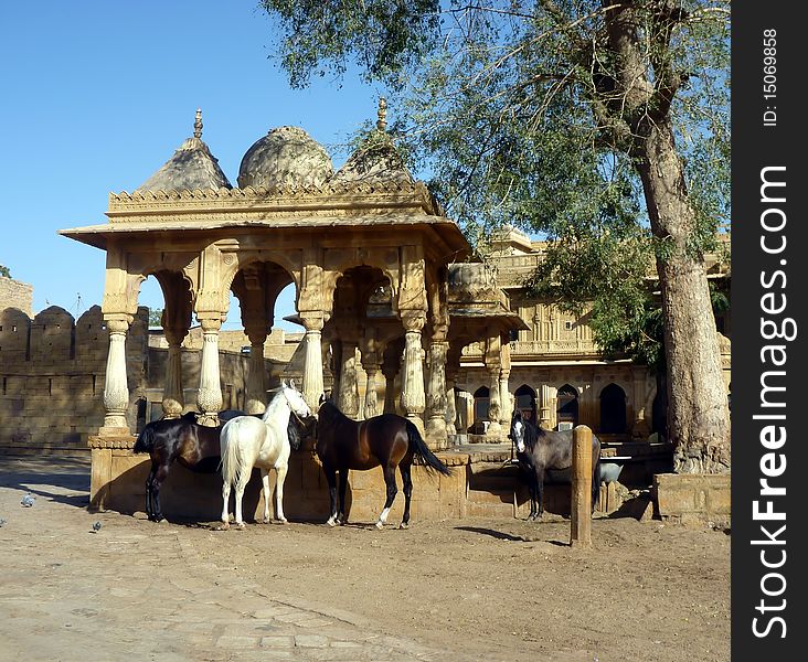 Four royal horses standing on palace courtyard in Jaisalmer, India. Four royal horses standing on palace courtyard in Jaisalmer, India