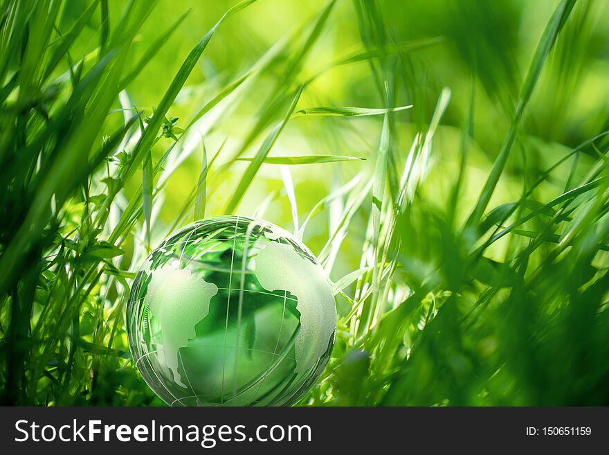 Globe Glass In Beautiful Green Grass. Environment Concept