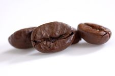 Four Coffee Beans Stock Photos Four Coffee Beans Stock Photos
