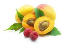 Apricots And Raspberry Stock Photography Apricots And Raspberry Stock Photography