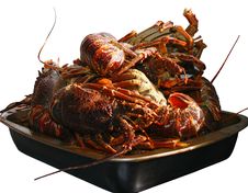 Crayfish Stock Images Crayfish Stock Images