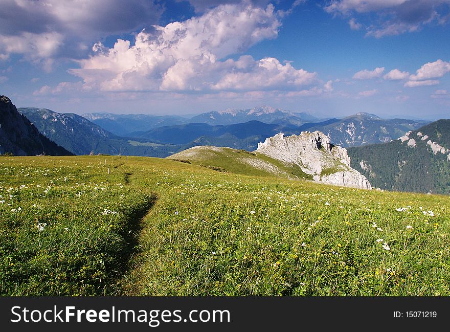 Mountains meadow full of flower with blue sky with clouds