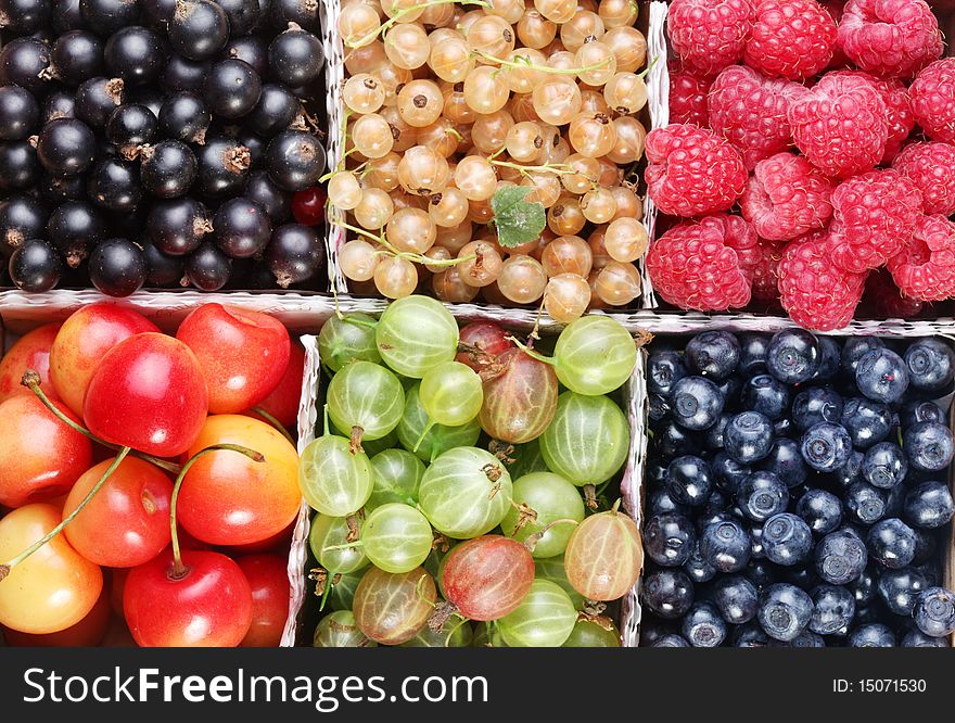 Different colourful berries in the box. Different colourful berries in the box