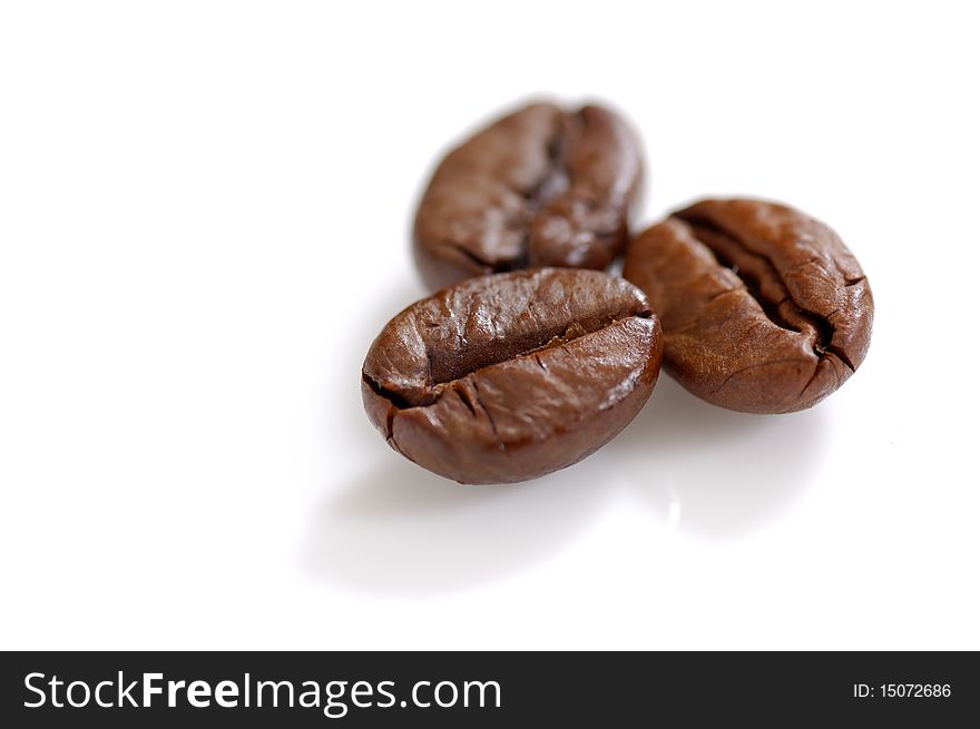 Three Roasted coffee beans shot in the studio. Three Roasted coffee beans shot in the studio