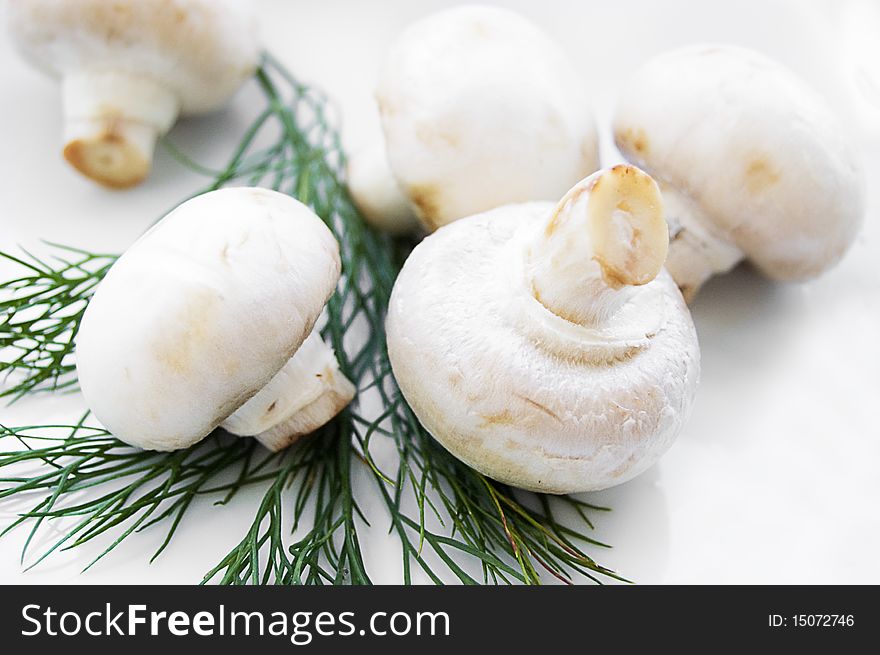 Champignon with green parsley