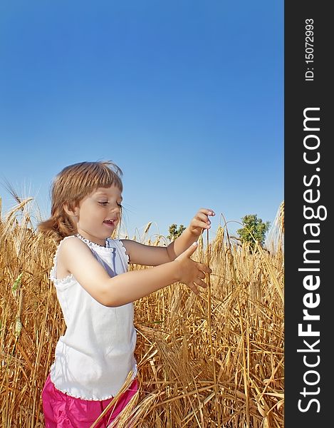 Little girl  on a wheat field looking on wheat