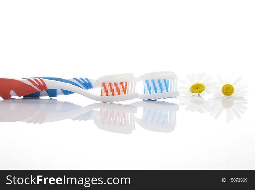 Two toothbrushes red and blue with toothpaste isolated on a white background and daisies. Metaphor sedation gum. Two toothbrushes red and blue with toothpaste isolated on a white background and daisies. Metaphor sedation gum