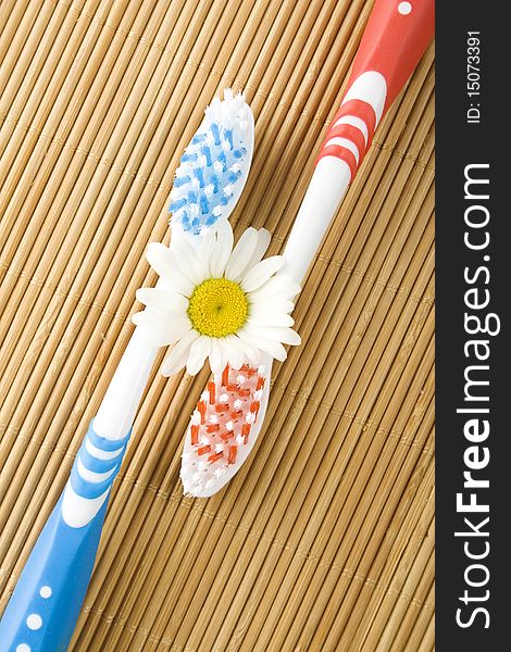 Two toothbrushes lying on a wooden surface and between camomile, herb. Metaphor sedation gum. Two toothbrushes lying on a wooden surface and between camomile, herb. Metaphor sedation gum