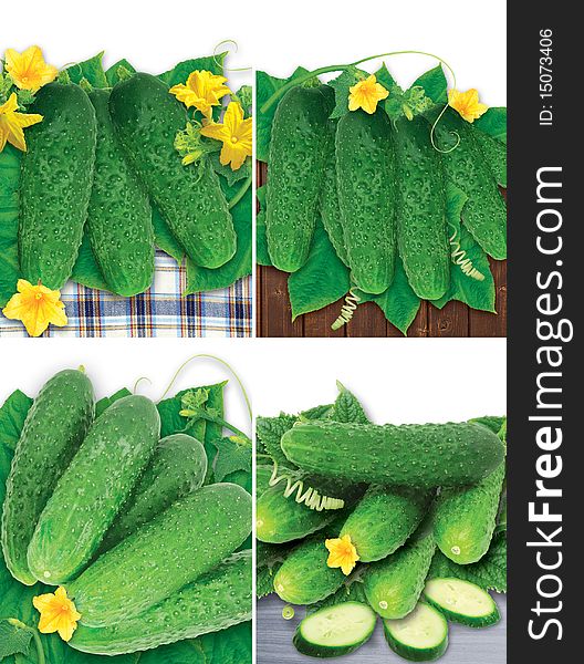 Set of different images with nice fresh green cucumbers, flowers and leaves. Set of different images with nice fresh green cucumbers, flowers and leaves