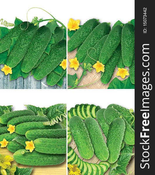 Set of different images with nice fresh green cucumbers, flowers and leaves. Set of different images with nice fresh green cucumbers, flowers and leaves