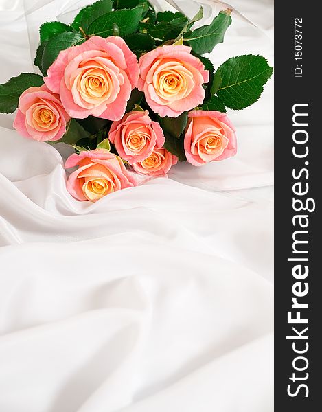 Gentle roses on a white drapery - a gift to the beloved. Gentle roses on a white drapery - a gift to the beloved.