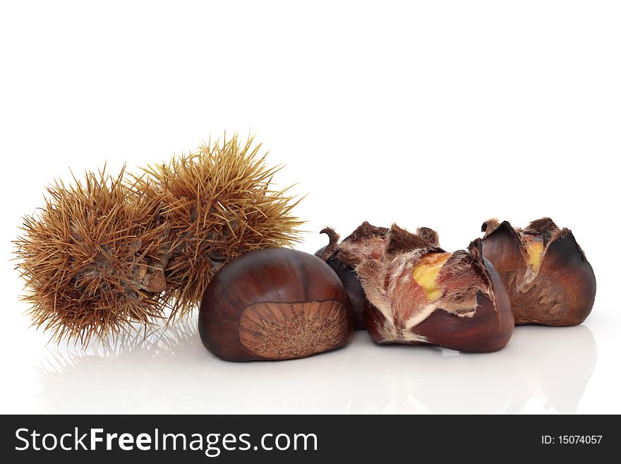 Chestnut group cracked open and roasted with complete husks, isolated over white background with reflection. Castanea. Chestnut group cracked open and roasted with complete husks, isolated over white background with reflection. Castanea.