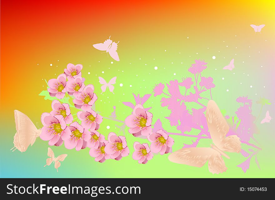 Cherry flowers and butterflies