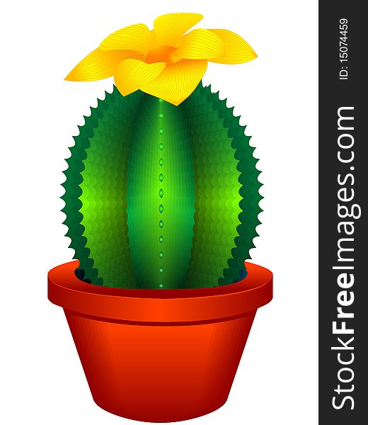 Indoor plant a cactus with a flower in a