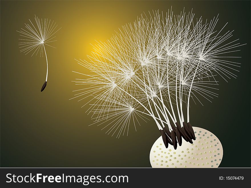 Illustration with single dandelion on dark background